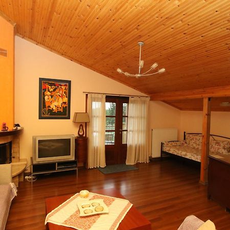 Pantso Villa Nea Iraklitsa 外观 照片