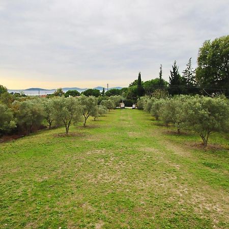 Pantso Villa Nea Iraklitsa 外观 照片