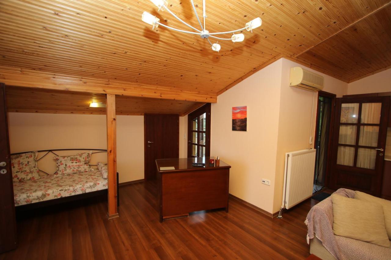 Pantso Villa Nea Iraklitsa 外观 照片
